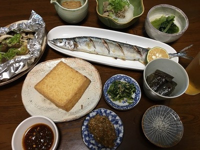 image1.JPG