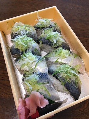 image1.JPG